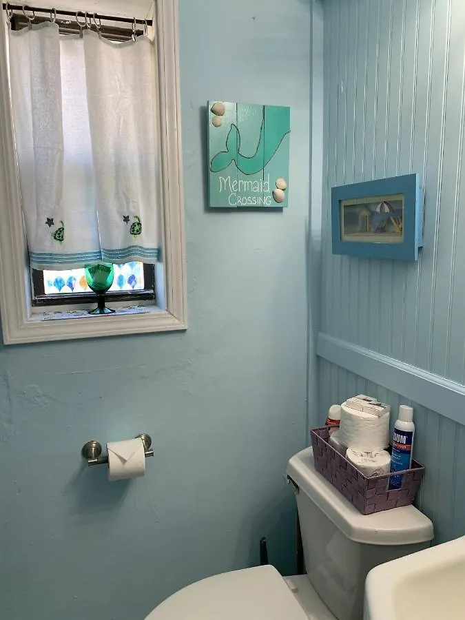 Apartment Beach Side Studio #1 apts North Camellia Acres