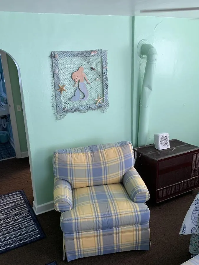 Beach Side Studio #1 apts North Camellia Acres 0*,