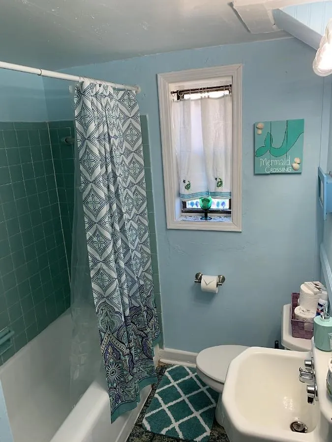 Apartment Beach Side Studio #1 apts North Camellia Acres